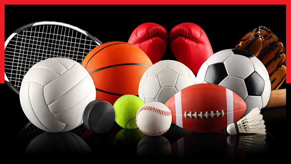 Sports Goods